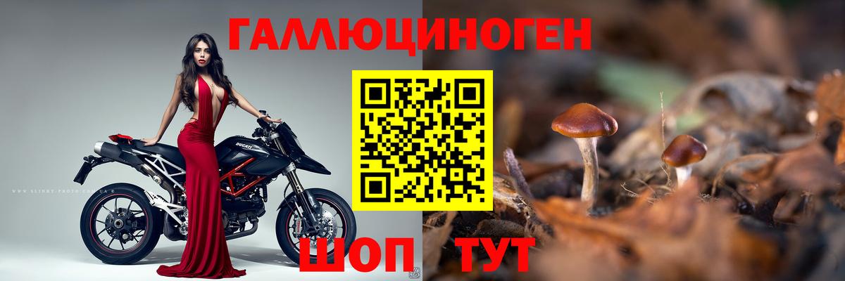 Псилоцибиновые грибы мухоморы  купить наркотики цена  Псилоцибиновые грибы GOLDEN TEACHER  Магнитогорск  Вход с VPN 